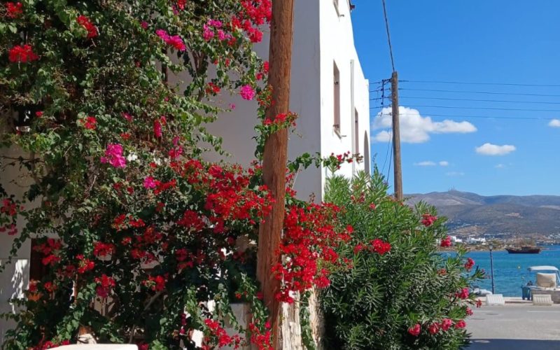 Antiparos village 2
