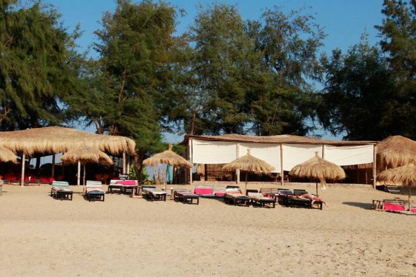 MG_7068-570f9dee5f9b58140899af18