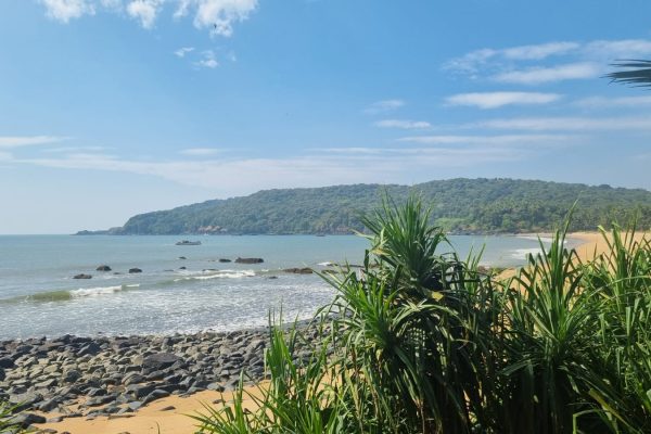 WhatsApp Image 2024-11-22 at 10.45.33_f3e00221